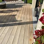 Zen Bord De